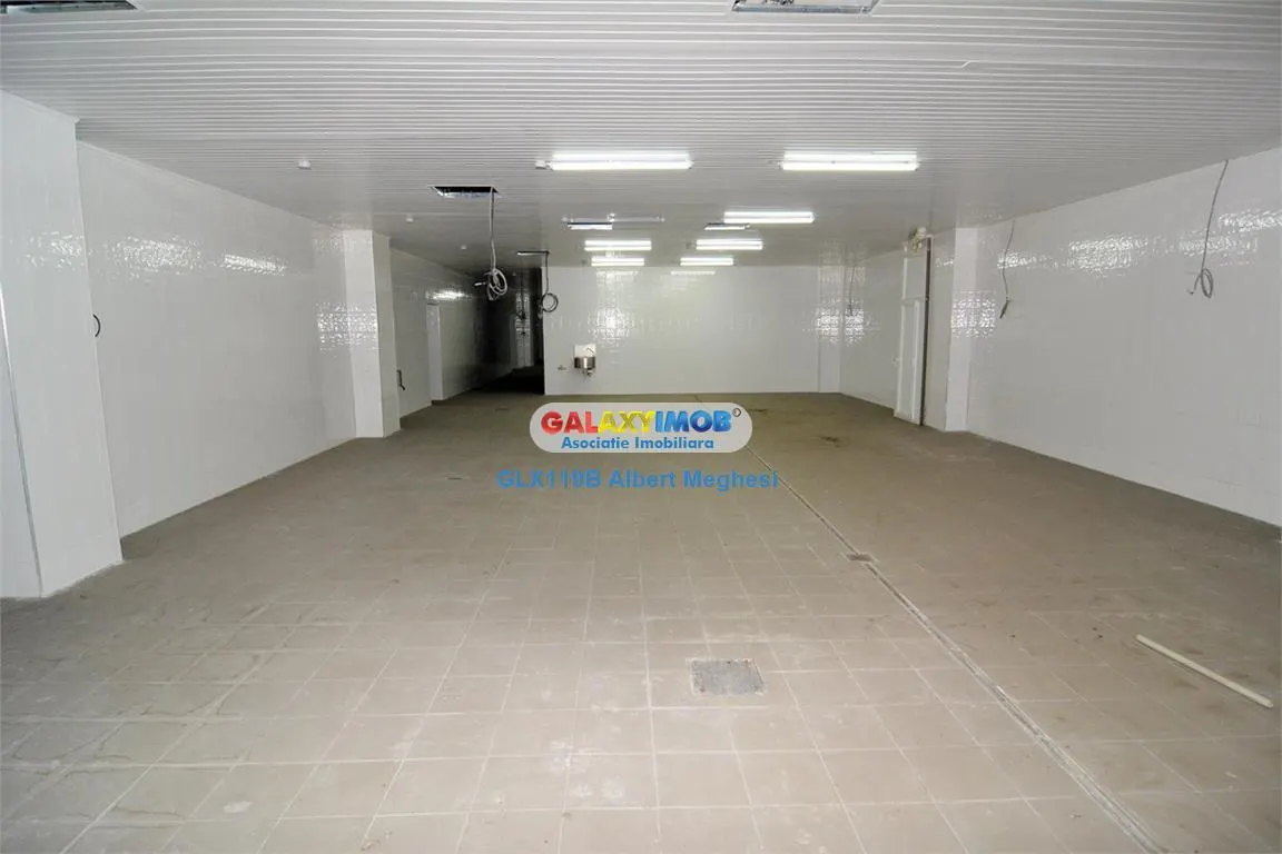 Vanzare spatiu productie alimentara P-ta Delfinului - foto 7
