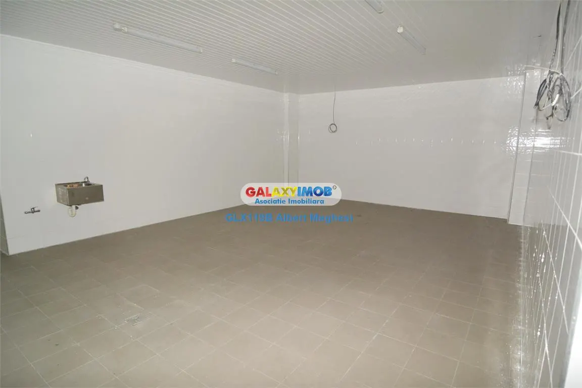 Vanzare spatiu productie alimentara P-ta Delfinului - foto 8