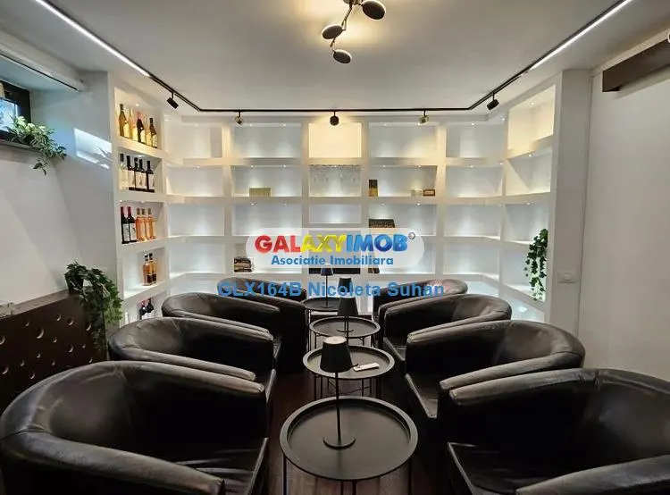 Vila ideala pentru ambasada,sediu de firma IT,coworking sau Reprezenta - foto 5