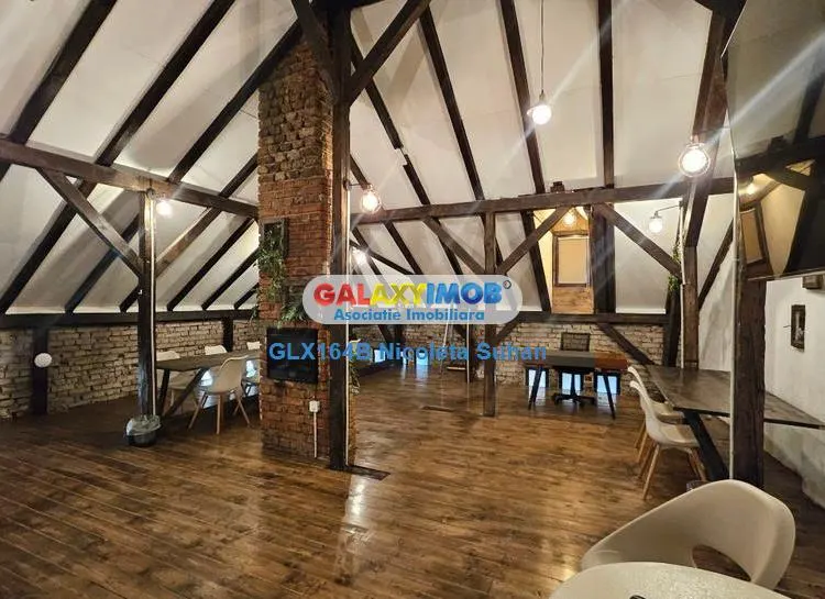 Vila ideala pentru ambasada,sediu de firma IT,coworking sau Reprezenta - foto 10