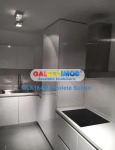 Aparatment Tip Duplex Dorobanti-Capitale 221 mp Demisol+Parter Inalt - foto 3