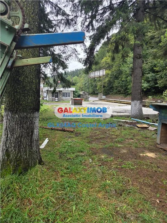 Vindem Vila-Pensiune in Sinaia , teren 6290 mp intravilan CC - foto 21
