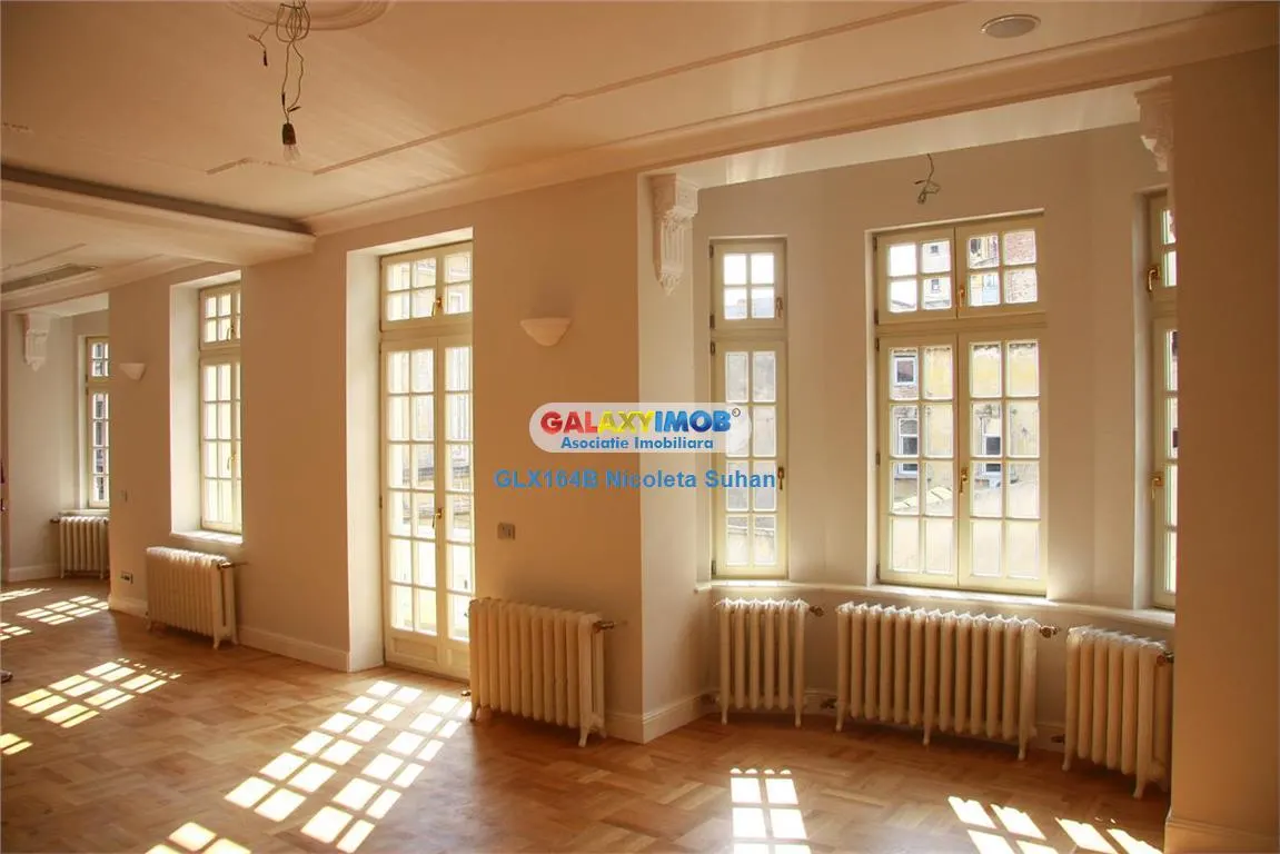 Vila cu farmec Parizian din M-ntuleasa - foto 3