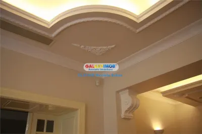 Vila cu farmec Parizian din M-ntuleasa - foto 22
