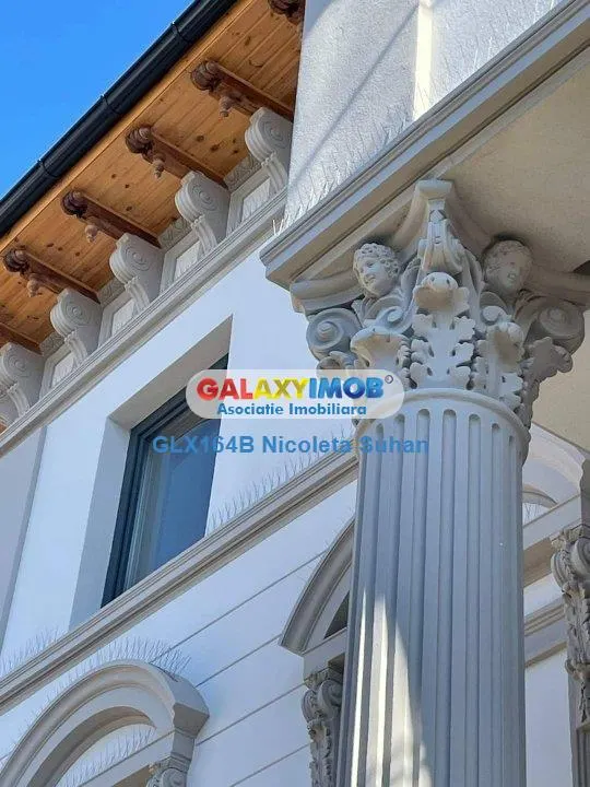 VILA SPECTACULOASA || Piata Victoriei || Renovata - foto 22