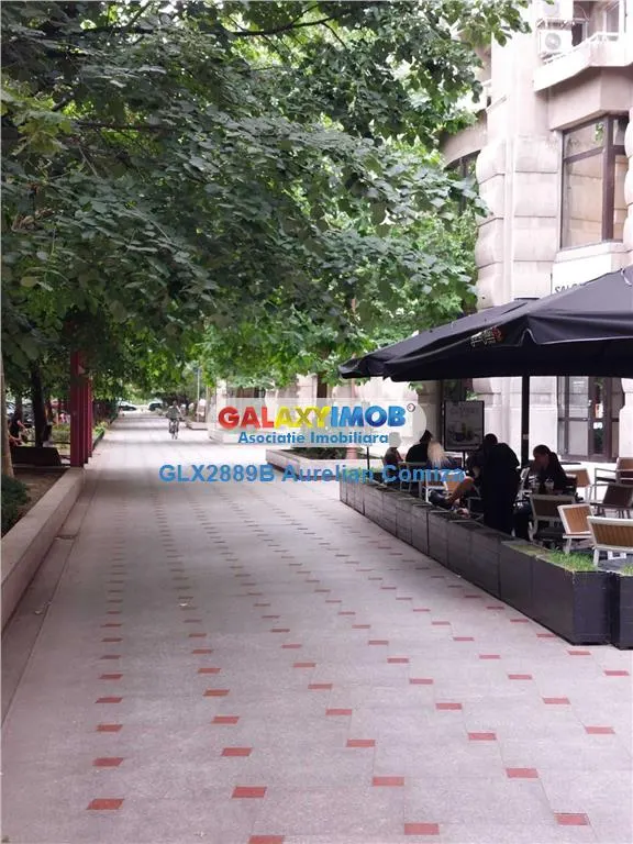 Garsoniera pentru inchiriat strada Traian/Bulevardul Unirii - foto 8