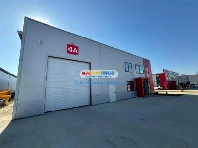 Inchiriere hala depozitare Parc Industrial TBM Rudeni - foto 17