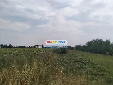 Teren Otopeni 13950 mp la sosea Marin Preda zona Mixta - foto 3