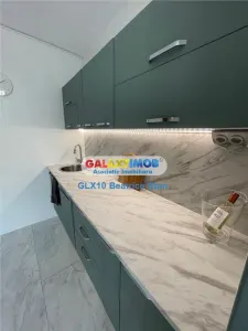 Inchiriere apartament 3 camere cochet TITULESCU / BANU MANTA - foto 5
