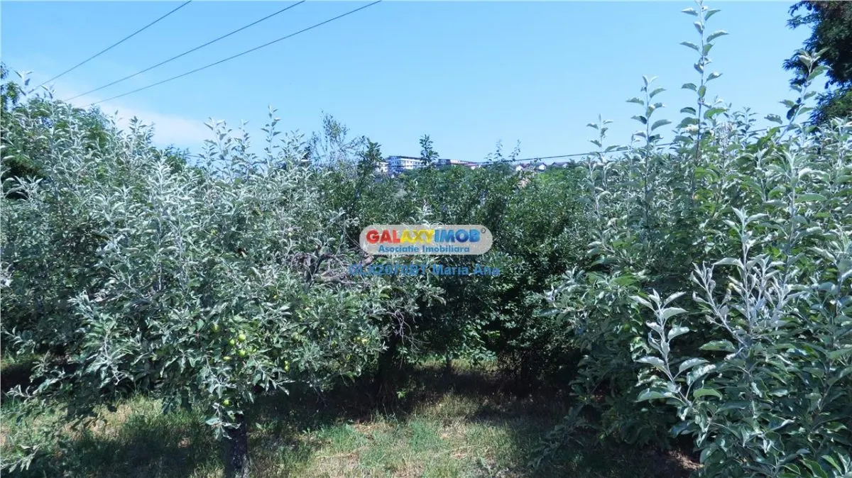 Curtesti, Botosani , Teren generos cu casa si anexa! - foto 11