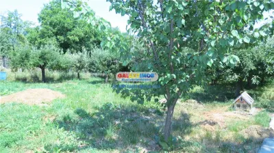 Curtesti, Botosani , Teren generos cu casa si anexa! - foto 13