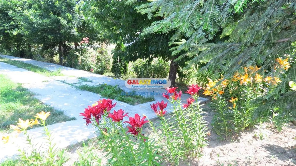 Curtesti, Botosani , Teren generos cu casa si anexa! - foto 15
