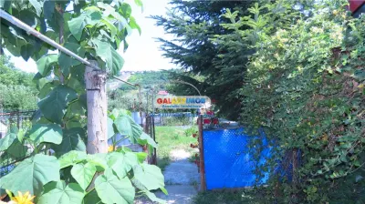 Curtesti, Botosani , Teren generos cu casa si anexa! - foto 22