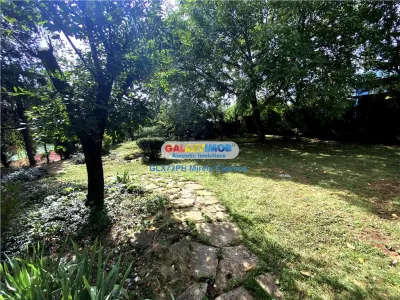 Vanzare Vila de lux Baicoi - foto 6