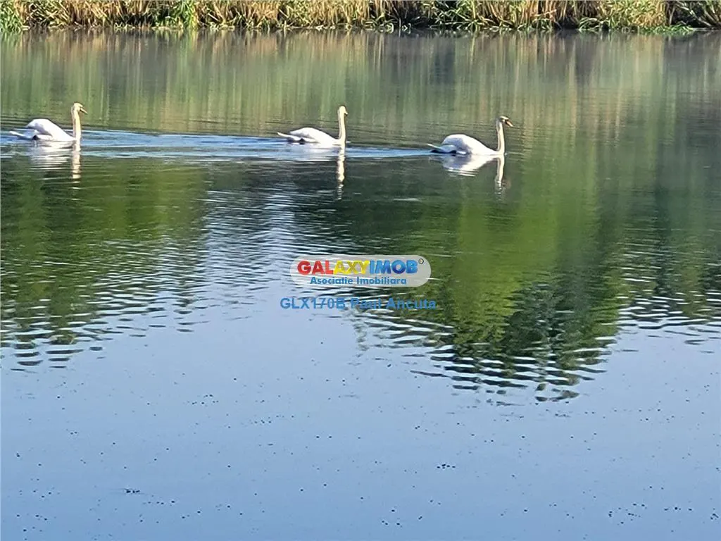 Vila cu teren Lac Balotesti sosea Unirii apropiere DN1 - foto 3