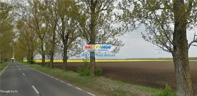 Teren  la Drumul Judetean Dascalu Gagu 17800 mp intravilan - Dascalu