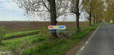 Teren  la Drumul Judetean Dascalu Gagu 17800 mp intravilan - foto 2