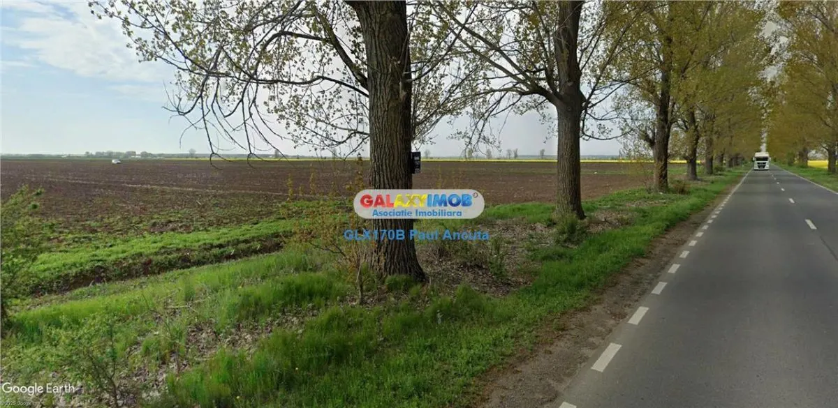 Teren  la Drumul Judetean Dascalu Gagu 17800 mp intravilan - foto 2