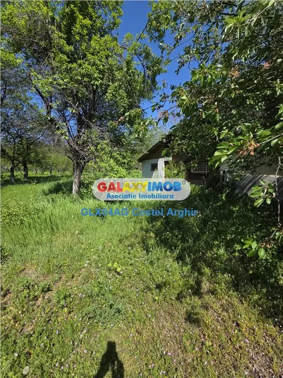 Vindem teren intravilan 3600 mp Calinesti , deschidere 58 m - foto 2