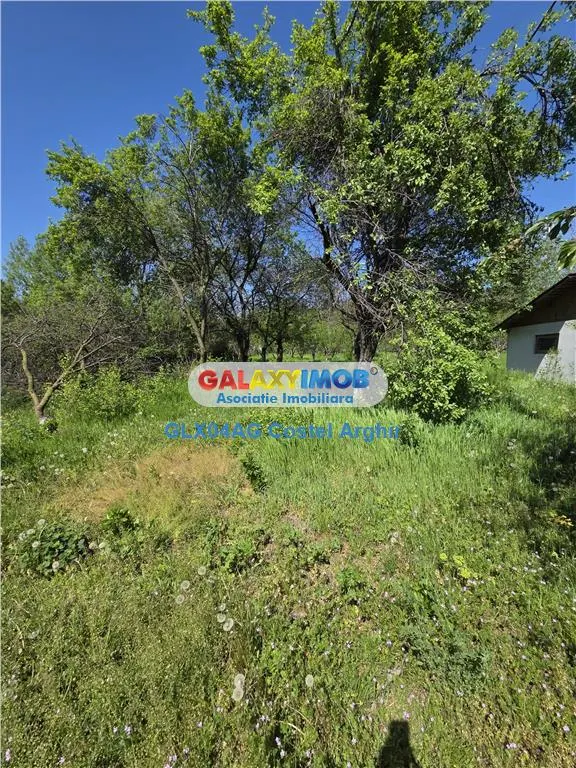 Vindem teren intravilan 3600 mp Calinesti , deschidere 58 m - foto 5