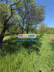 Vindem teren intravilan 3600 mp Calinesti , deschidere 58 m - foto 7