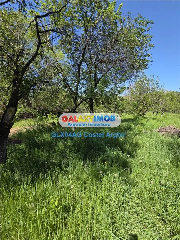 Vindem teren intravilan 3600 mp Calinesti , deschidere 58 m - foto 7