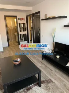 Inchiriere apartament 2 camere Eroii Revolutiei-Viilor - foto 11