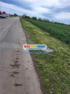 Teren Moara Vlasiei 65000 mp Industrial utilitati apropiere Nod A3 - Moara Vlasiei