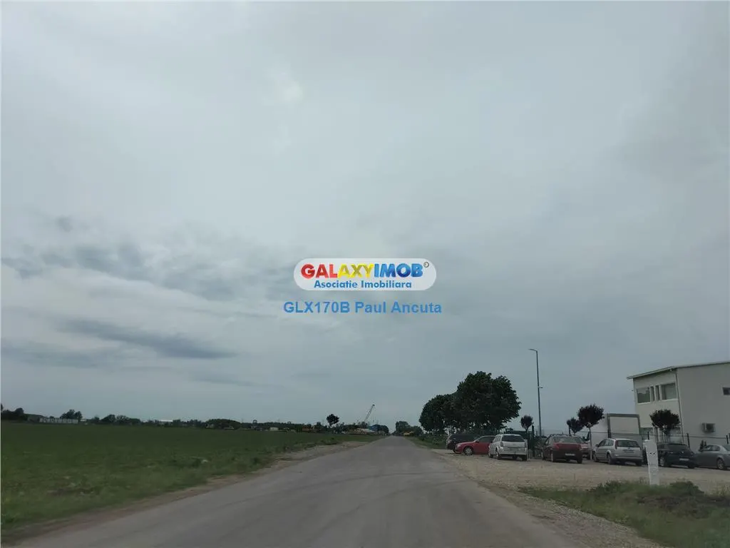 Teren Moara Vlasiei 65000 mp Industrial utilitati apropiere Nod A3 - foto 2
