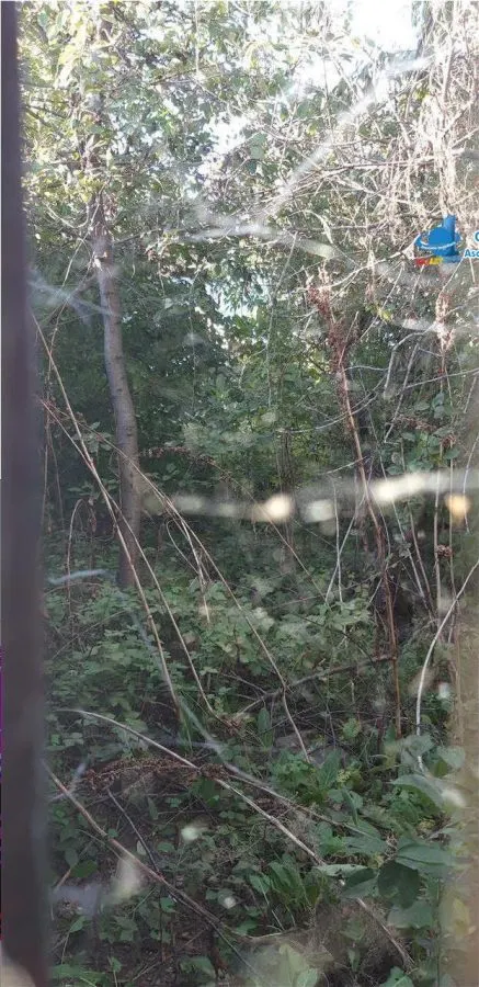 Teren Dobroiesti strada Meterezului - foto 3