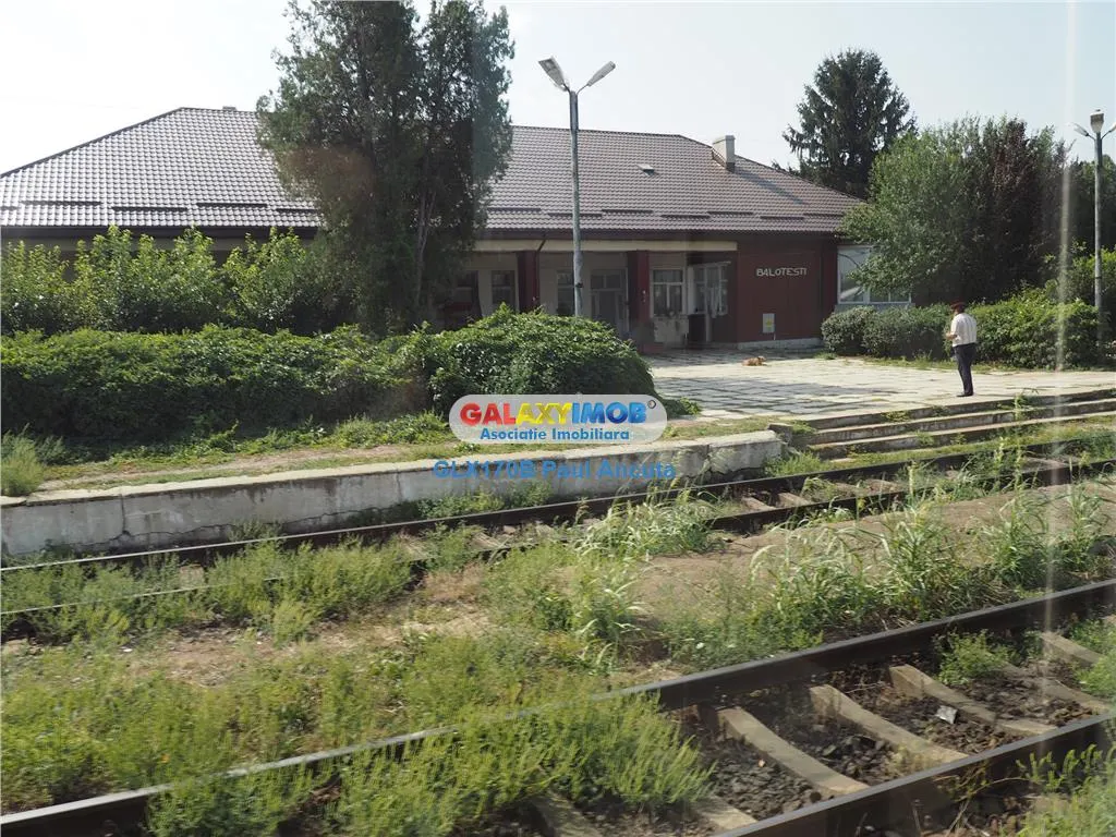 Teren Tunari Dimieni 41700 mp  Industriala apropiere Aeroport Otopeni - foto 3