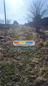 Vindem teren intra 10000 mp in Gradistea, deschidere lacul Caldarusani - foto 3