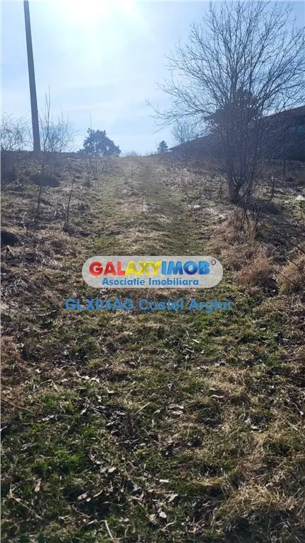 Vindem teren intra 10000 mp in Gradistea, deschidere lacul Caldarusani - foto 3