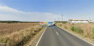 Teren 14000 mp la Dj Moara Vlasiei Gradistea latura Padure - Moara Vlasiei