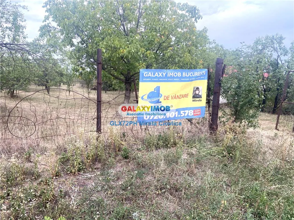 Vanzare teren intravilan Baicoi, zona centrala - foto 6