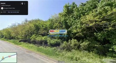 Teren Padure 6.500 mp., la strada, zona Cucorani! - Botosani