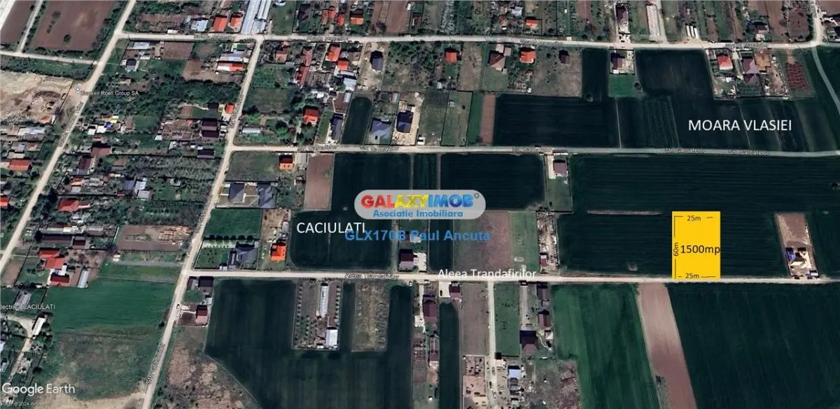 Teren Caciulati Moara Vlasiei 1500 mp lot casa acces rapid la A3 - foto 1