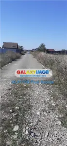 Teren Caciulati Moara Vlasiei 1500 mp lot casa acces rapid la A3 - foto 4