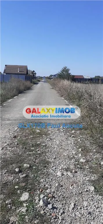 Teren Caciulati Moara Vlasiei 1500 mp lot casa acces rapid la A3 - foto 4