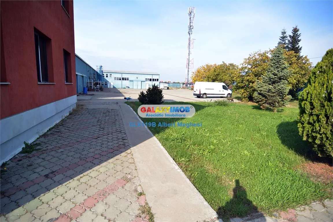 Vanzare hala/depozit+birouri Magurele - foto 2