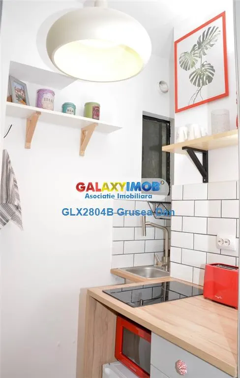 Apartament 2 Camere Pet&Foreigners Friendly Unirii G 311 - foto 1