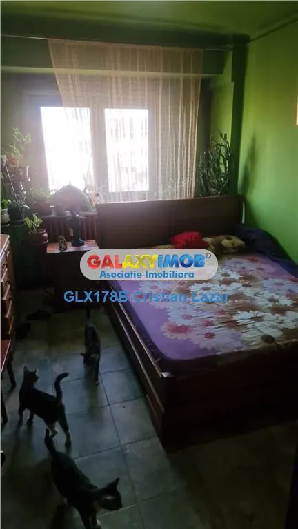 2 CAMERE TRANSFORMATE DIN 3, 68 MP!!!! - foto 3