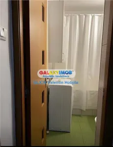 Vanzare apartament 2 camere Berceni Brancoveanu Luica Lamotesti - foto 11
