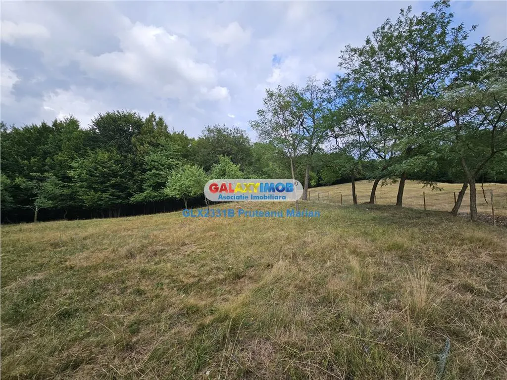 Vanzare teren 2680 m situat la Curtea de Arges cu iesire spre Transfag - foto 2