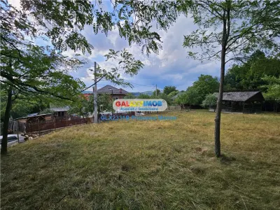 Vanzare teren 2680 m situat la Curtea de Arges cu iesire spre Transfag - foto 19