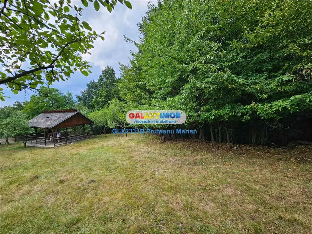 Vanzare teren 2680 m situat la Curtea de Arges cu iesire spre Transfag - foto 4
