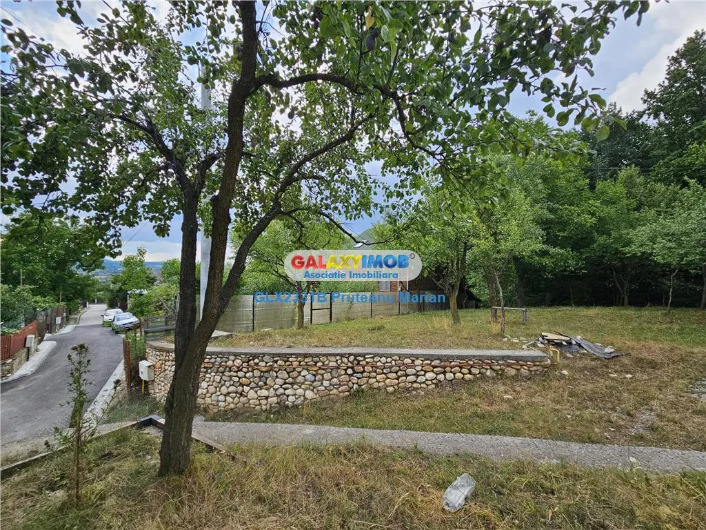 Vanzare teren 2680 m situat la Curtea de Arges cu iesire spre Transfag - foto 8