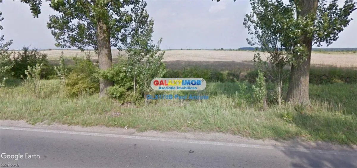 Teren la Drum Judetean Stefanesti Dascalu 13900 mp - foto 2