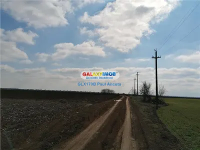 Teren Balotesti 12500 mp acces la str Fabricii cu Fantanii - Balotesti