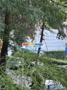 Inchiriere apartament 3 camere PARCUL BAZILESCU - foto 13